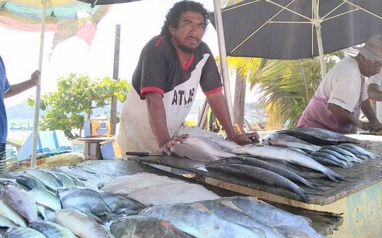 Baja producción pesquera en Acapulco por la contaminación mariscos economia  finanzas pescadores - El Sol de Acapulco | Noticias Locales, Policiacas,  sobre México, Guerrero y el Mundo