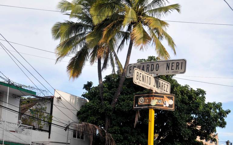 Entre el paisaje, sobrevive rara palmera siamesa en Chilpancingo - El Sol  de Acapulco | Noticias Locales, Policiacas, sobre México, Guerrero y el  Mundo