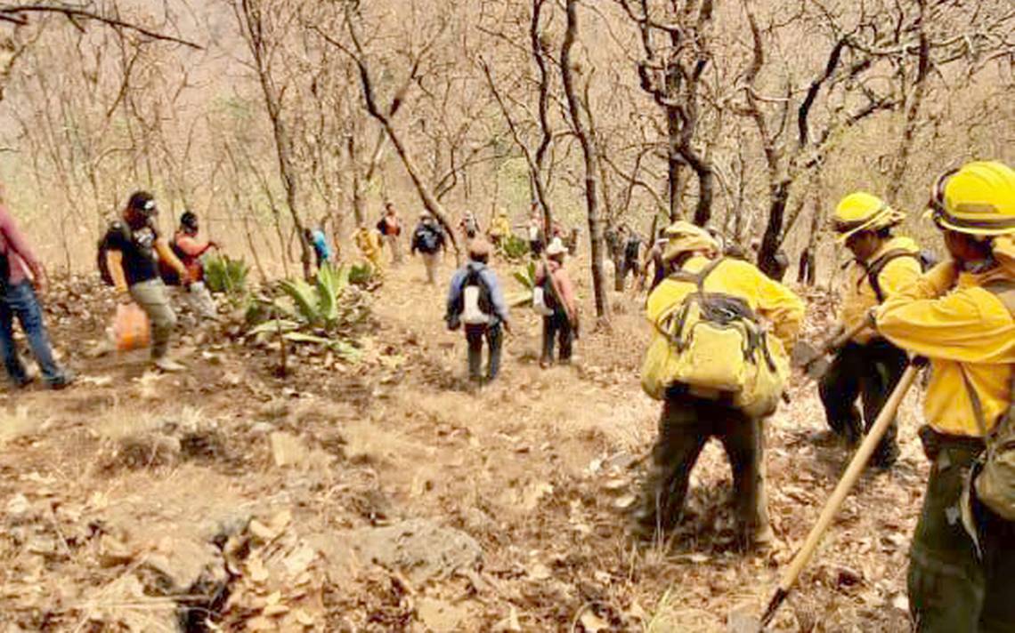 Incrementan en un 200% los incendios forestales en Guerrero incendios ...