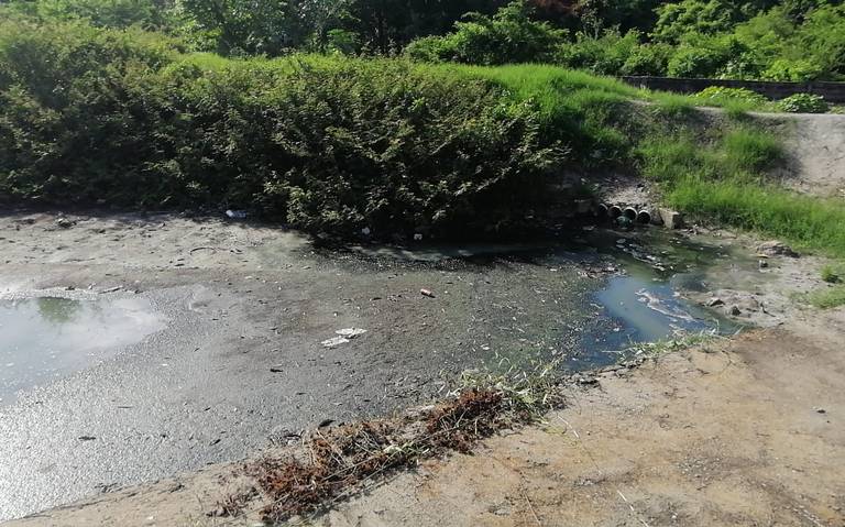 Denuncian escurrimiento de aguas negras en Casas Homex acapulco  contaminación ecología salud - El Sol de Acapulco | Noticias Locales,  Policiacas, sobre México, Guerrero y el Mundo