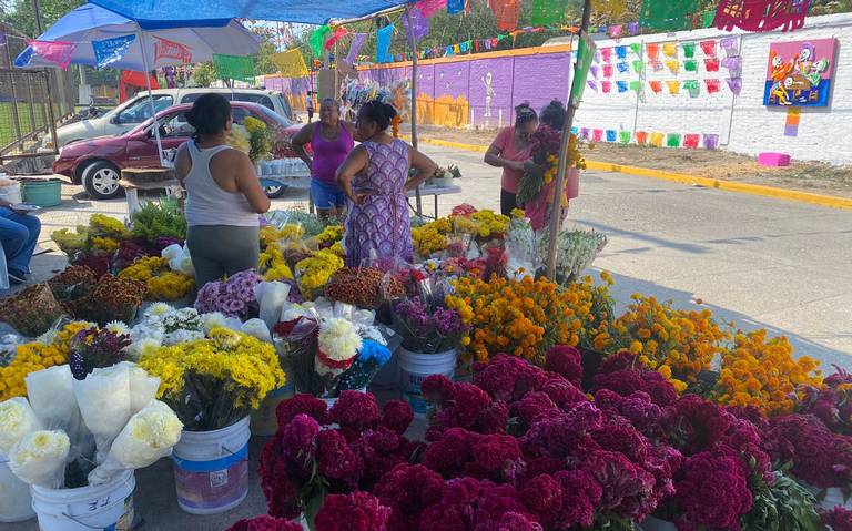 Venta en flor de cempasúchil disminuyó 50% en Zihuatanejo - El Sol de  Acapulco | Noticias Locales, Policiacas, sobre México, Guerrero y el Mundo