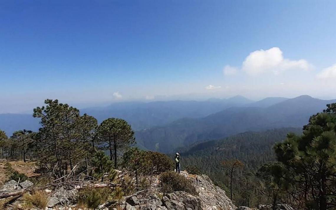 Teotepec La Montaña Más Alta De Guerrero El Sol De Acapulco Noticias Locales Policiacas 4289