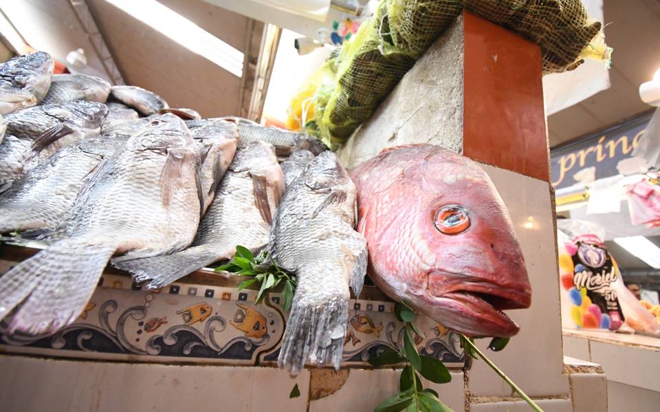 Cuaresma, la temporada de consumir pescado - El Sol de Acapulco  Noticias  Locales, Policiacas, sobre México, Guerrero y el Mundo