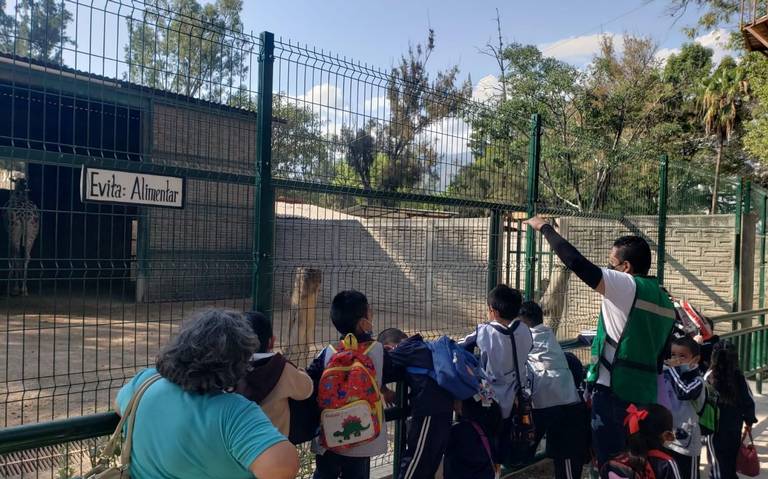 Mexicano Rubén Niebla hace historia como entrenador de los Padres de San  Diego – Telemundo 52