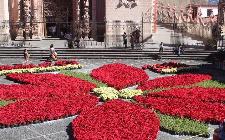 Taxco montará la mega flor de la Cuetlaxóchilt - El Sol de Acapulco |  Noticias Locales, Policiacas, sobre México, Guerrero y el Mundo