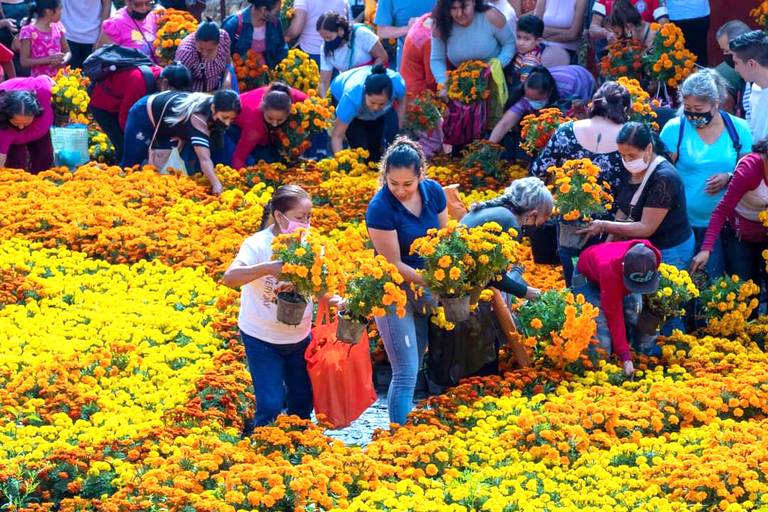 Desmontan tapete monumental de la Catrina en Taxco - El Sol de Acapulco |  Noticias Locales, Policiacas, sobre México, Guerrero y el Mundo