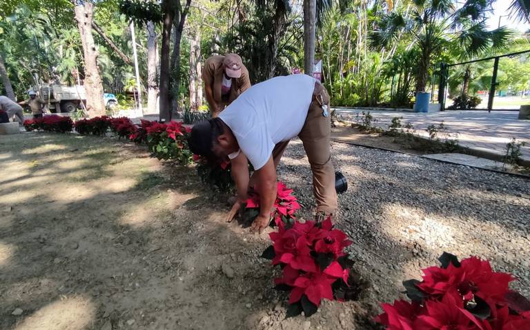 Con flores de Nochebuena, adornan la ceiba del parque Papagayo - El Sol de  Acapulco | Noticias Locales, Policiacas, sobre México, Guerrero y el Mundo